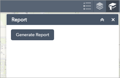 Custom Report widget